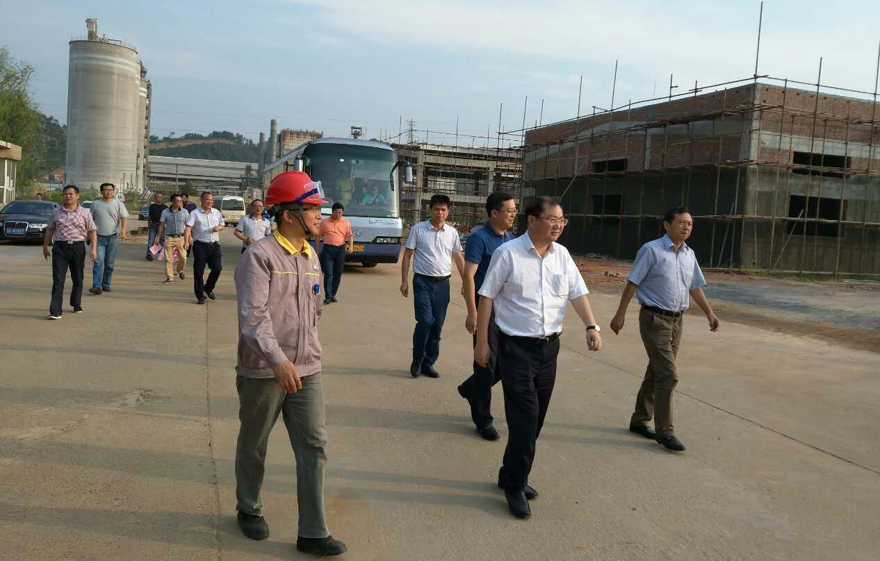 双看双促调研活动