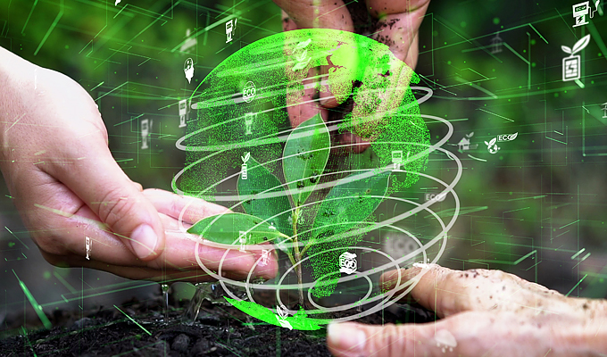 Carbon Peak & Carbon Neutrality Policy